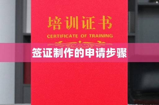 清浦签证制作的申请步骤
